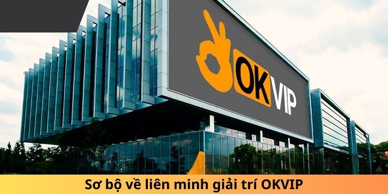 Liên minh OKVIP cần tuyển nhân viên biên tập viên video sáng tạo